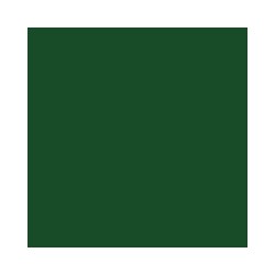 TERRE PIGMENT VERT EMERAUDE 200 gr des Frères NORDIN