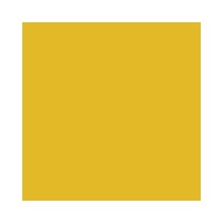 TERRE PIGMENT JAUNE INDIEN 200 gr des Frères NORDIN