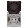 Prise 2p+t etanche gris ip55 829907