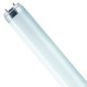 Tube fluo 0m90 30w biolux965 bl 52110r