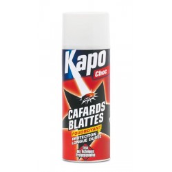 AEROSOL FOUDROYANT BLATTES / CAFARDS  400ML 