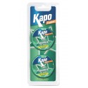 BOITE APPAT FORMICIDE  2 X 10 G KAPO