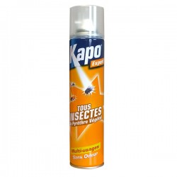 AEROSOL TOUS INSECTES 300ML 