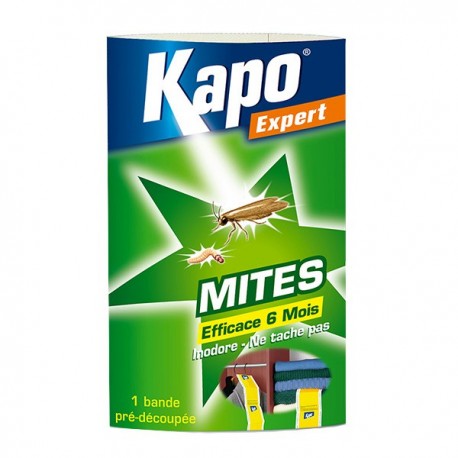 PAPIER ACCORDEON MITES  2 BANDES KAPO