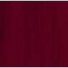 COLORANT BOIS BORDEAUX 500ML "Les Frères Nordin"