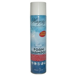 SHAMPOING HAGERTY AEROSOL 600ML