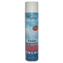 SHAMPOOING HAGERTY AEROSOL 600ML