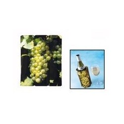 Refroidisseur de bouteille de vin blanc VACUVIN